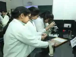 SNEH International School Gallery