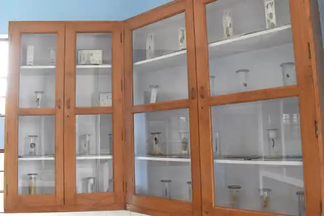 St. Mary's Senior Secondary School Gallery