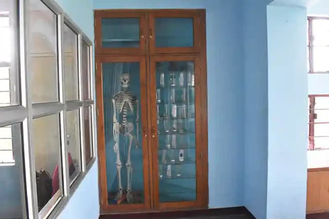 St. Mary's Senior Secondary School Gallery