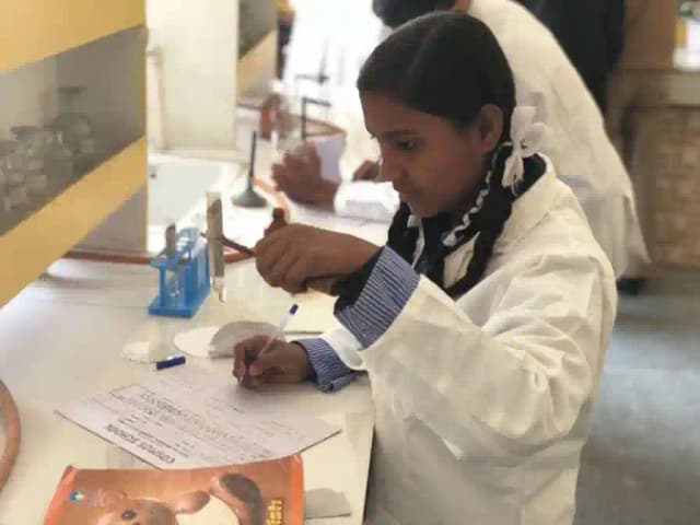 Cosmos Public School Gallery