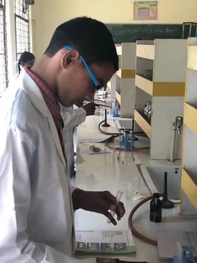 Cosmos Public School Gallery