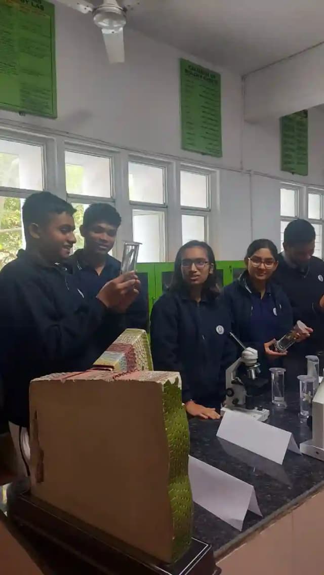 Navy Childrens School Gallery