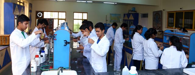 Basava International School Gallery