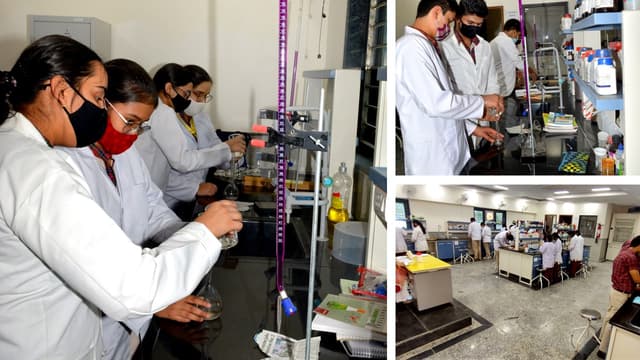 M.L. Khanna DAV Public School Gallery