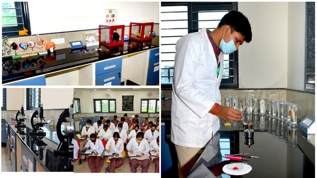 M.L. Khanna DAV Public School Gallery