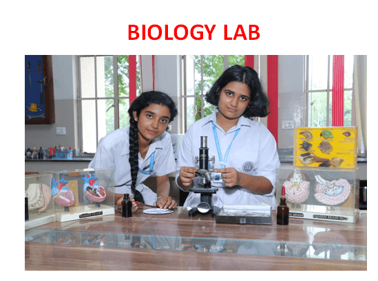 Gyan Mandir Public School Gallery