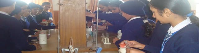 Colonel Child Bloom School Gallery