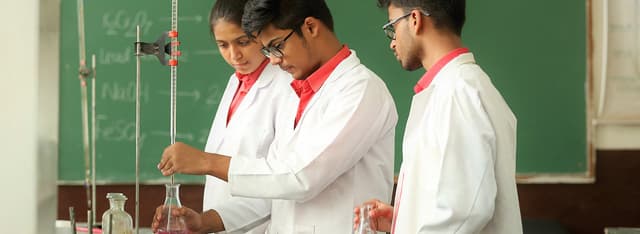 Crescent Public School Gallery