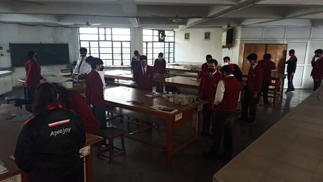 Apeejay School Gallery