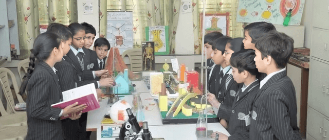 North-Ex Public School Gallery