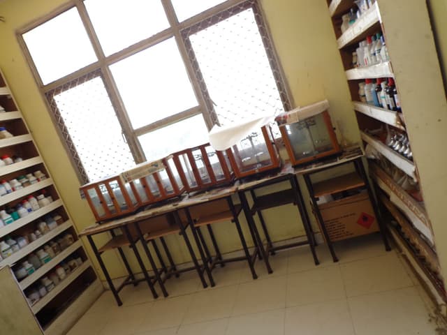 Indian Convent School Gallery