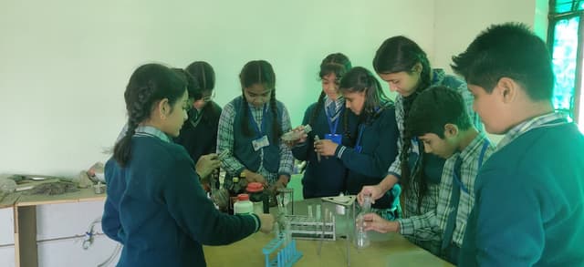 Meer Public School Gallery