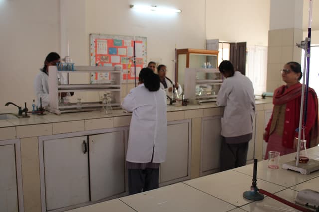 Mahashay Chuni Lal Saraswati Bal Mandir Sr Sec School Gallery