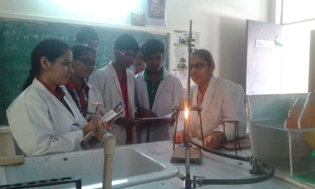 St. Matthew's Public School Gallery