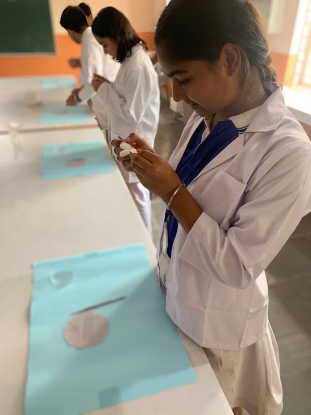 Mother Khazani Convent Senior Secondary School Gallery