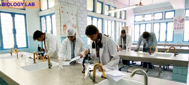 Banasthali Public School Gallery