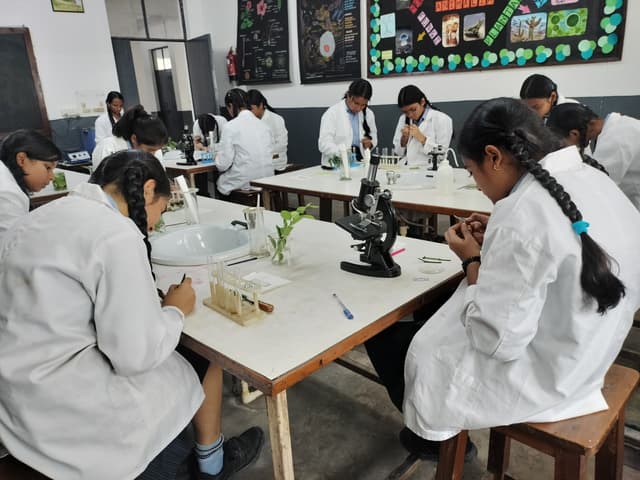 Lt. Col. Mehar Little Angels Senior Secondary School Gallery