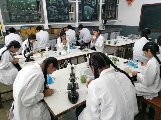 Lt. Col. Mehar Little Angels Senior Secondary School Gallery