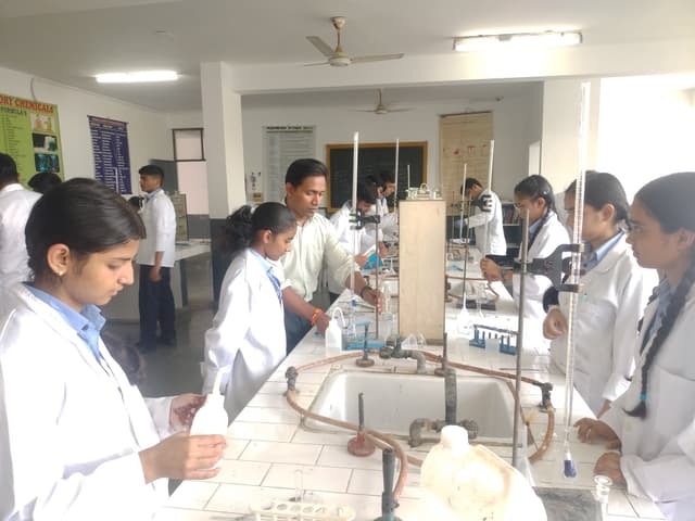 Lt. Col. Mehar Little Angels Senior Secondary School Gallery