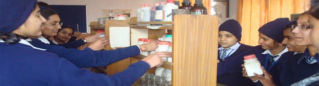 Colonel Child Bloom School Gallery