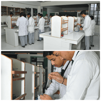 The Cambridge International School Gallery