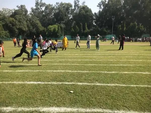 North-Ex Public School Gallery