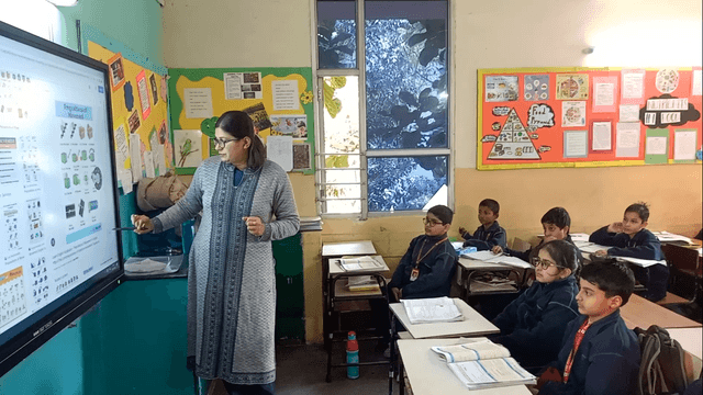 The Pinnacle School Gallery