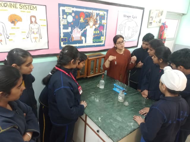 The Pinnacle School Gallery