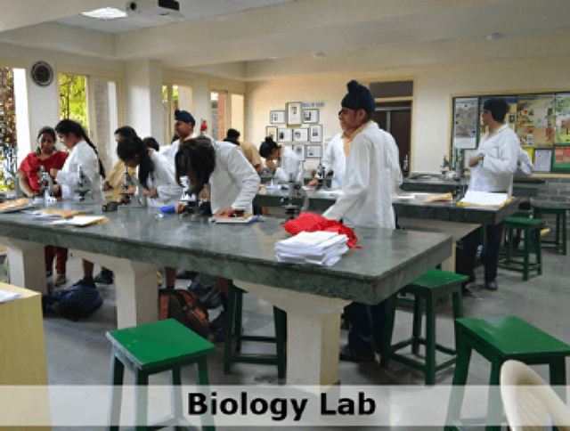 Tagore International School Gallery