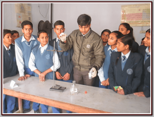 Bhardwaj Model School Gallery