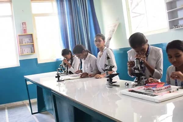 CIAT Convent School Gallery