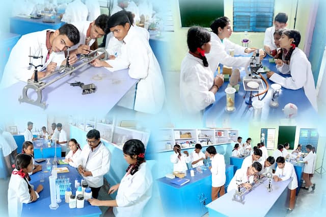 Murti Devi Public School Gallery