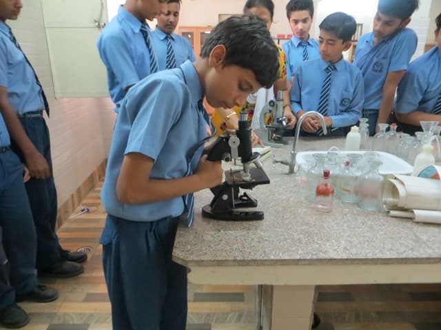 Anglo Arabic Model School Gallery