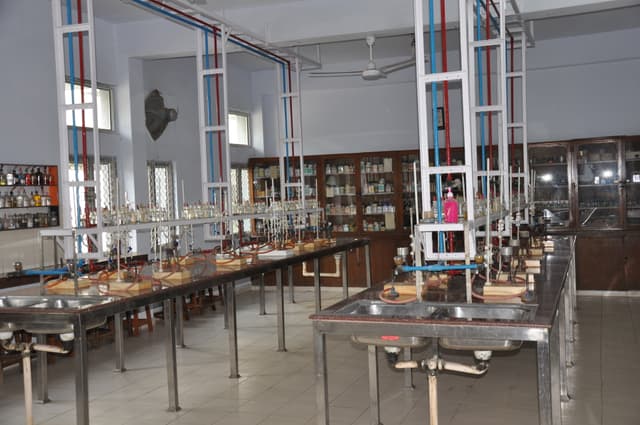 Ramjas School Gallery