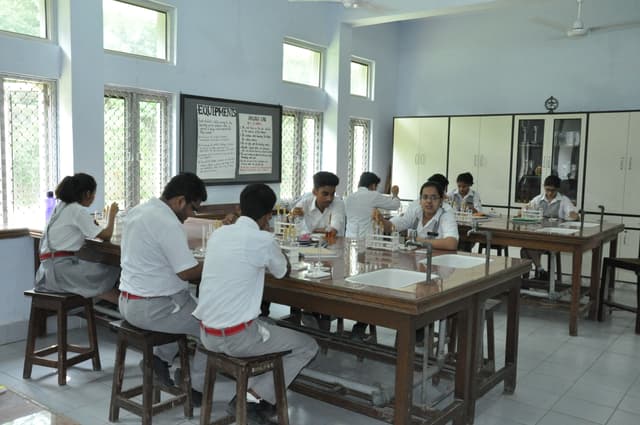 Ramjas School Gallery