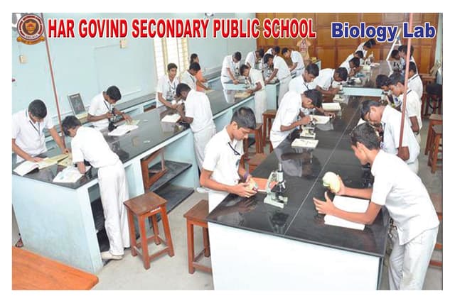 Har Govind Secondary Public School Gallery