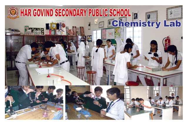 Har Govind Secondary Public School Gallery