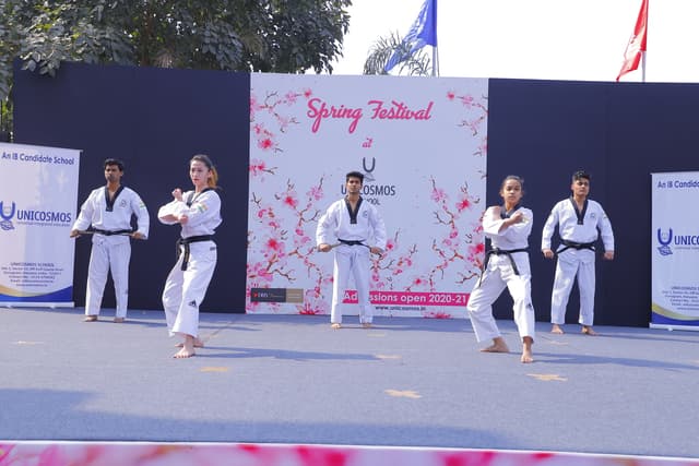 Unicosmos School Gallery