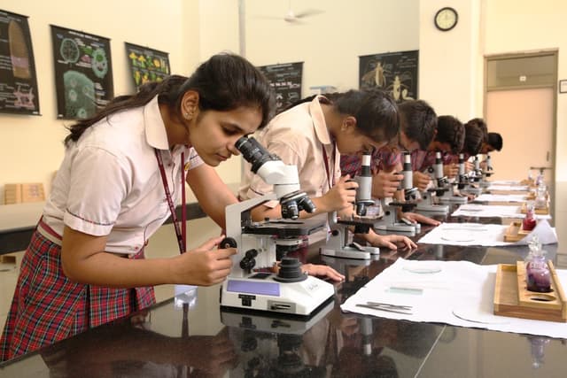 DAV Public School Gallery