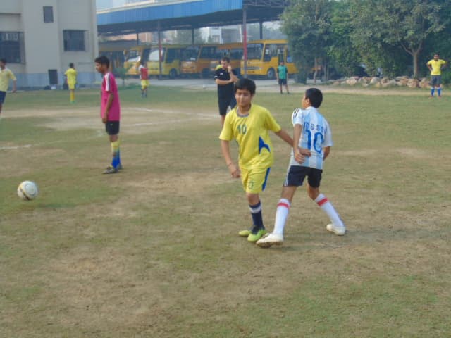 Royal Oak International School Gallery