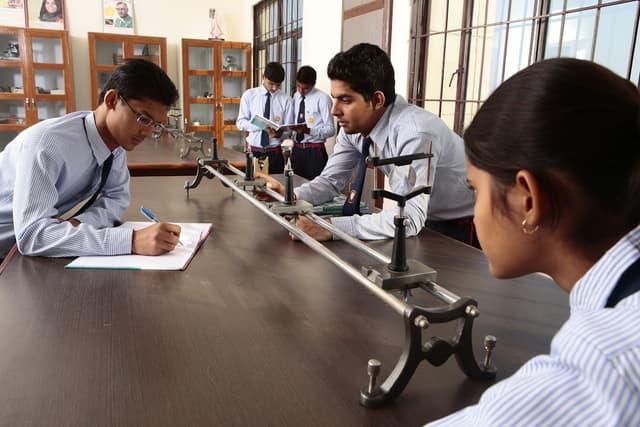 Royal Oak International School Gallery