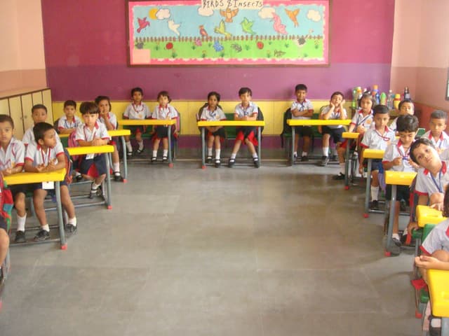 Royal Oak International School Gallery