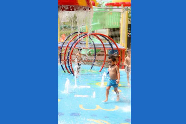 Chalk Tree Global School Gallery