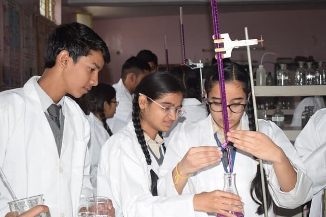 DVM Public School Gallery