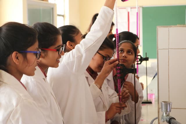 DVM Public School Gallery