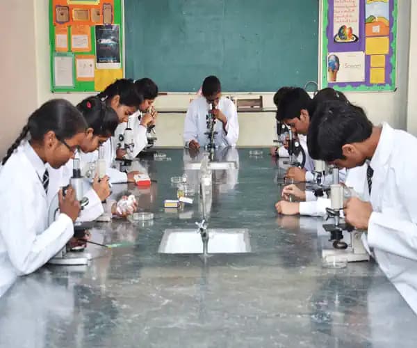 Alpine Convent School Gallery