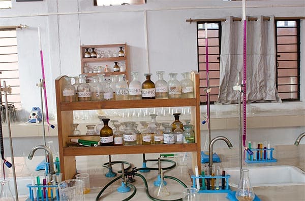 Sharda International School Gallery