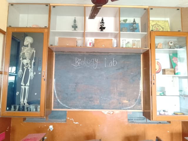 KDM Public Senior Secondary School Gallery