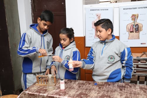 Lovely Public School Gallery