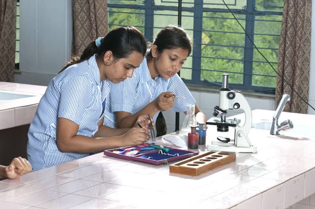 Our Lady of Fatima Convent Secondary School Gallery